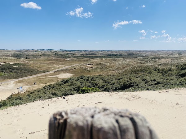 Amsterdamse Waterleidingduinen 5