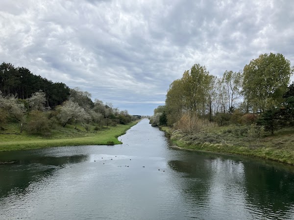 Amsterdamse Waterleidingduinen 2