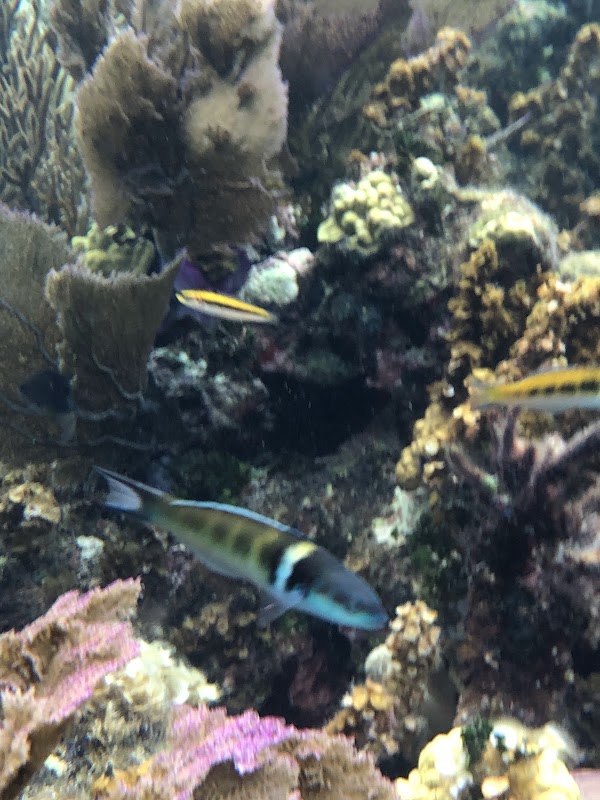 Great Blue Hole 3