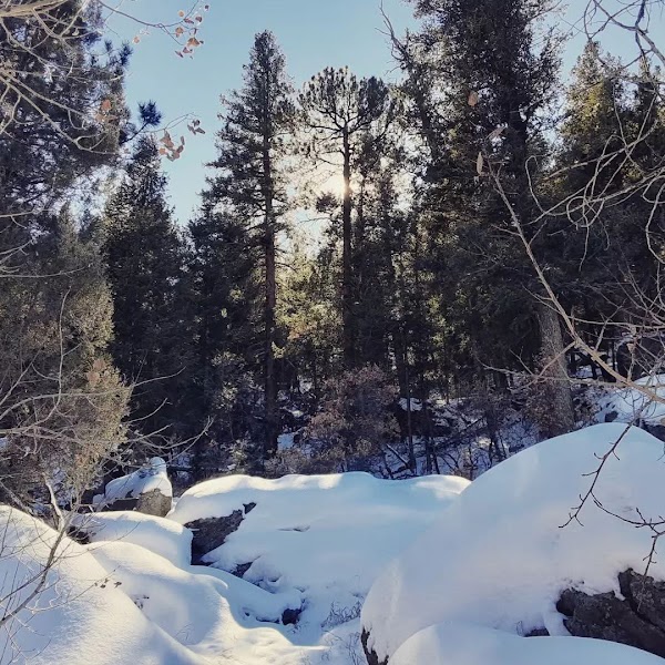 Rimrock Trail