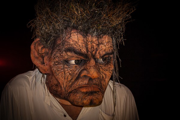Macnas 1