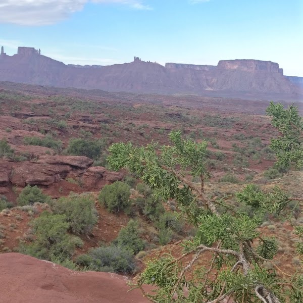 Shafer Trail 3