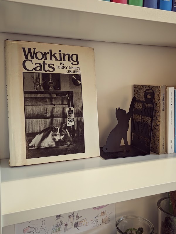 Catnip Coffee