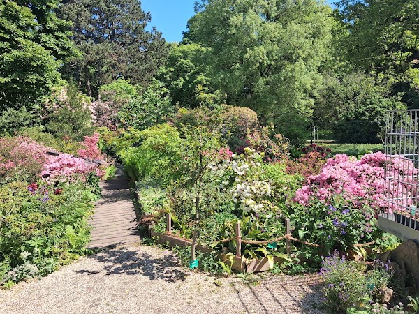 Alpengarten im Belvedere
