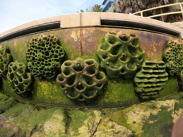 Fairy Bower Living Seawall