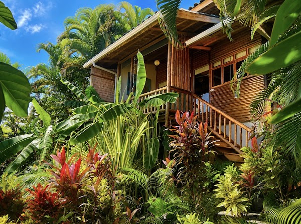 Hotel Horizon Yoga Santa Teresa