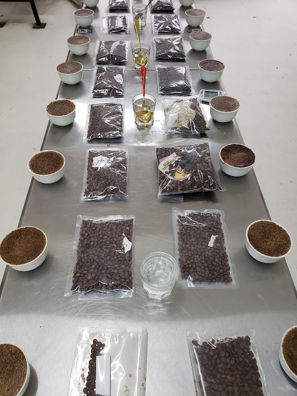 Finca Gascón Specialty Coffee 1