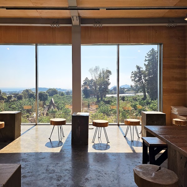 Bong Bong Tangerine Farm 3