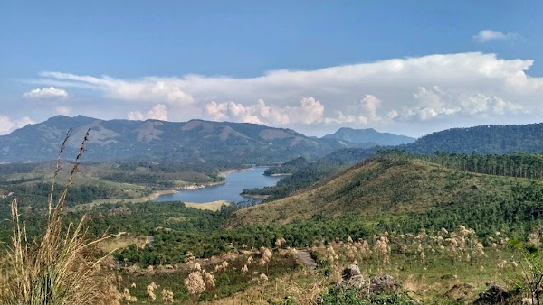 Rock View Point 1