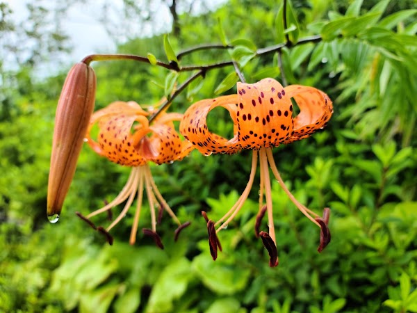 Blue bang Hwangnyeongsan 5