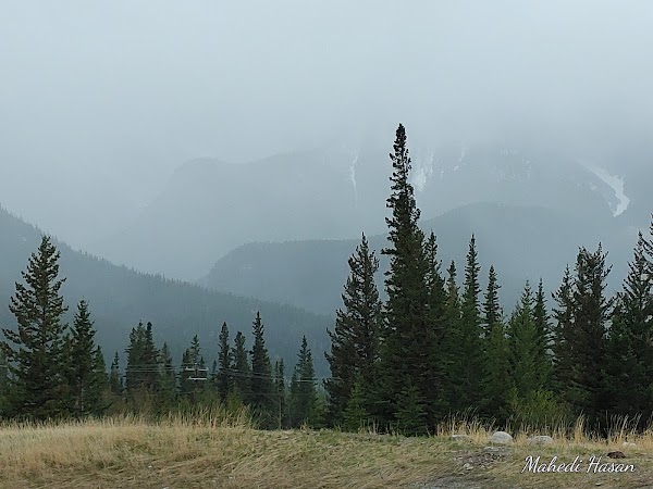 Jura Creek Trailhead