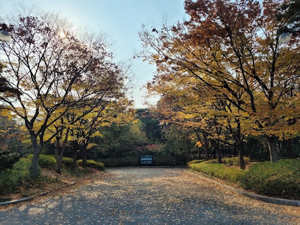 Yeouido Park Natural Eco Forest 5