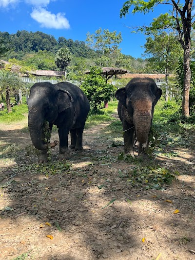 Thailand 40