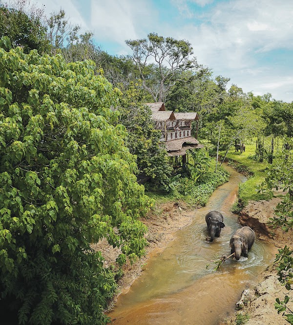 Phuket Elephant Sanctuary 4