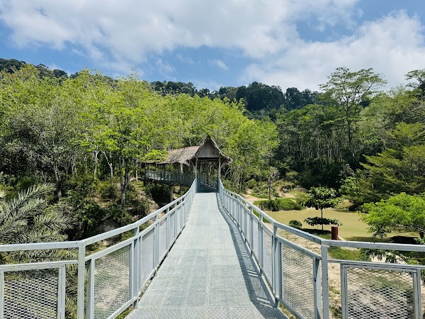 Phuket Elephant Sanctuary 3