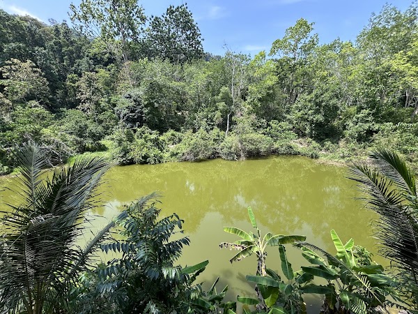 Phuket Elephant Sanctuary 2