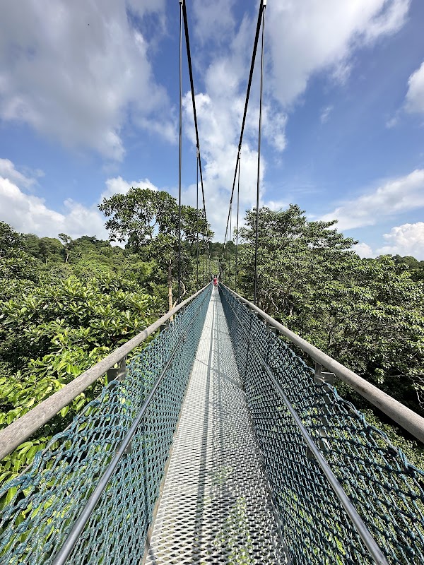 MacRitchie Reservoir Park 5