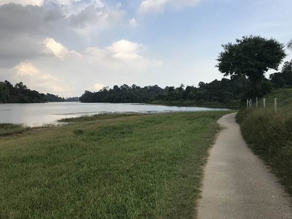 MacRitchie Reservoir Park 4