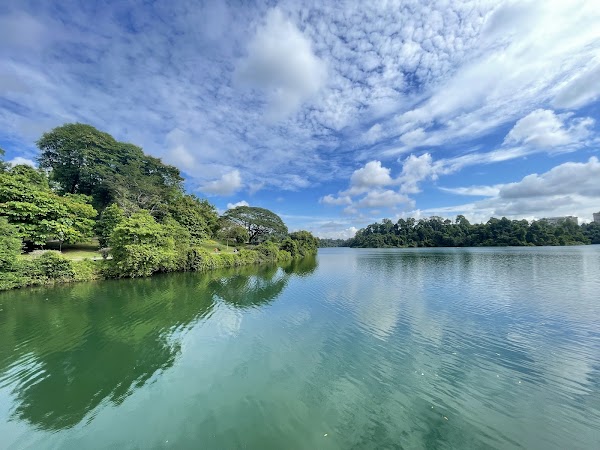 MacRitchie Reservoir Park 3
