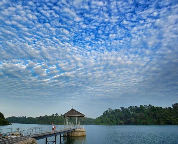 MacRitchie Reservoir Park 2
