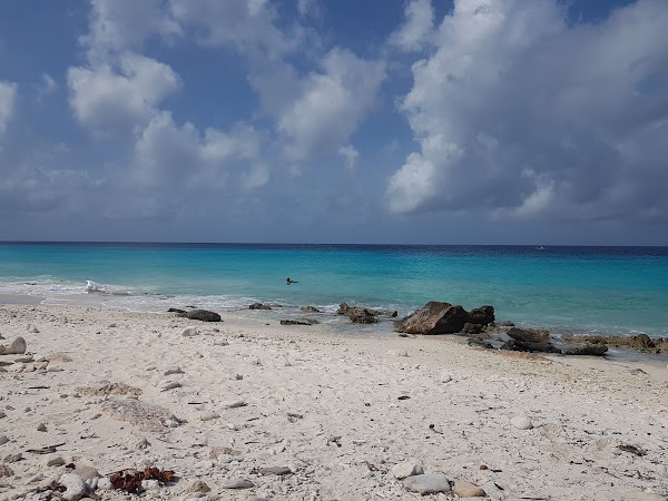 Bonaire 23