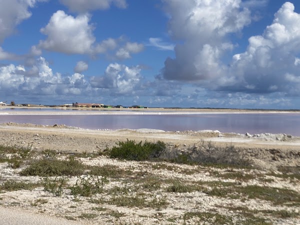 Pink Beach (53) 4