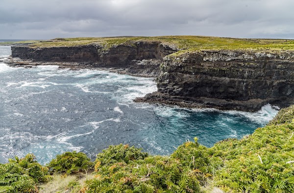 Enderby Island