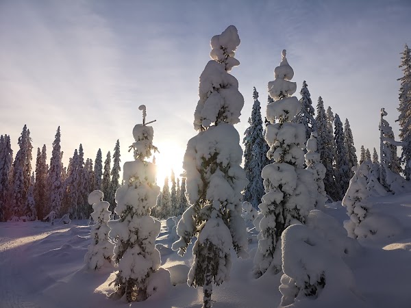 Norge 21