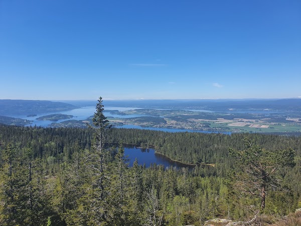 Krokskogen 5