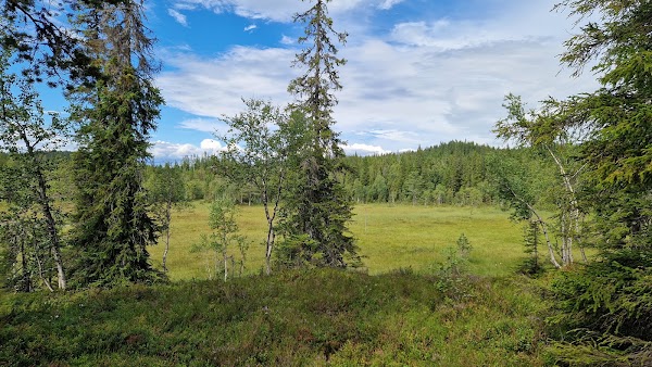 Krokskogen 4