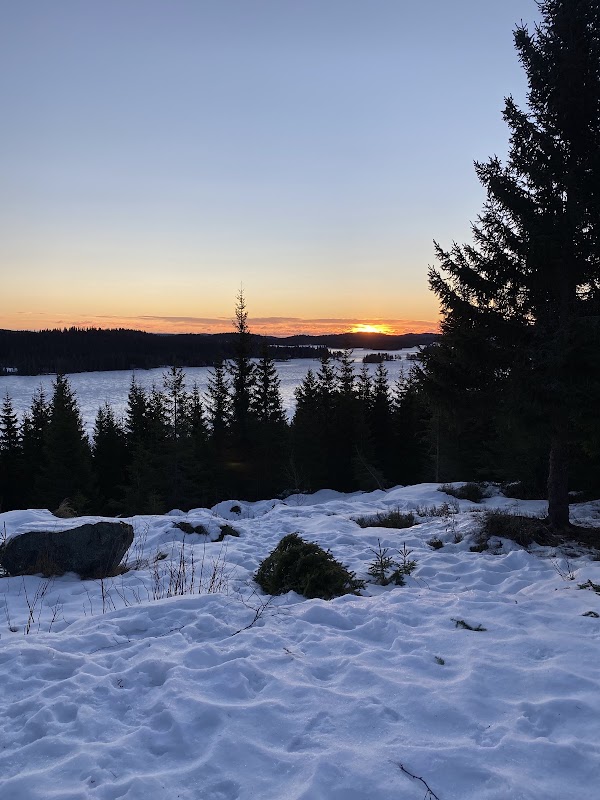 Krokskogen 2