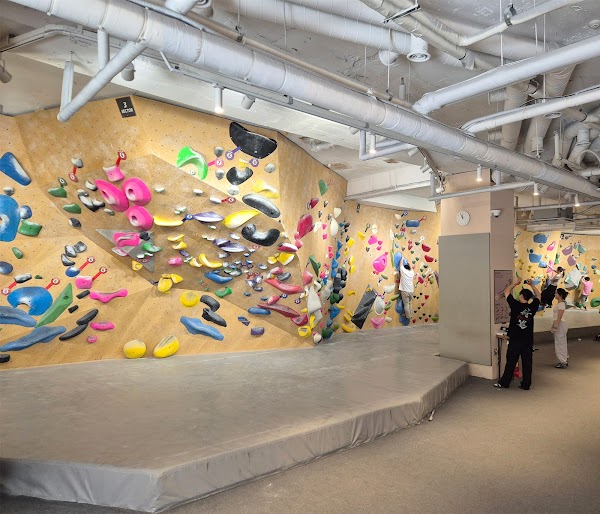 The Climb Gangnam