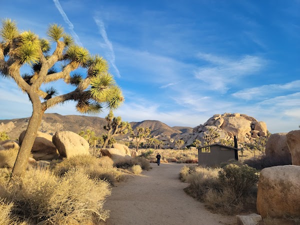 Joshua Tree National Park 1