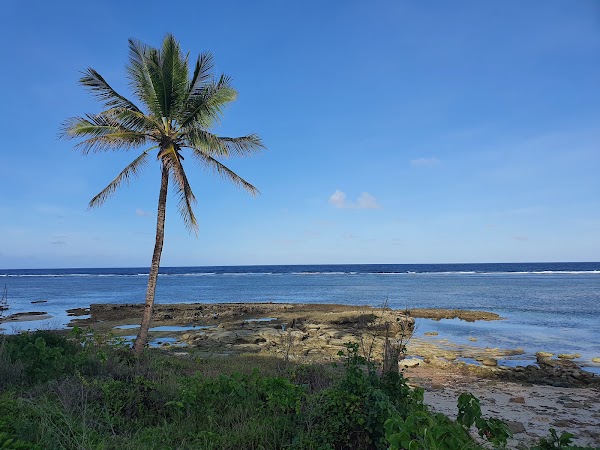Pacifico Beach 5
