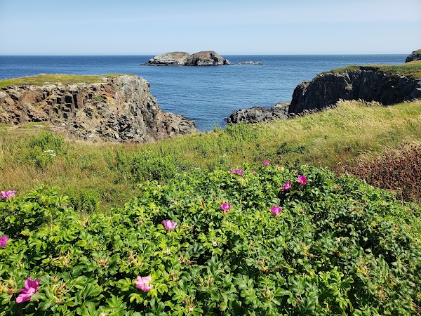 Elliston 1