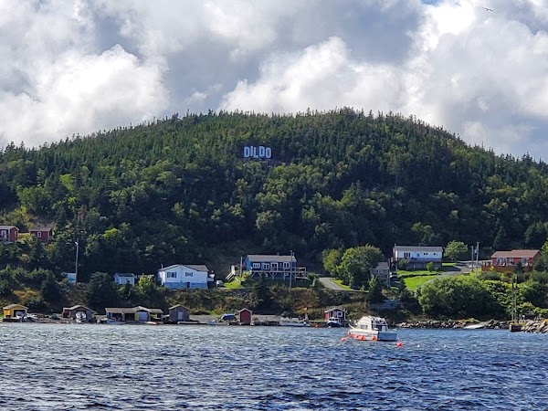 Elliston 4