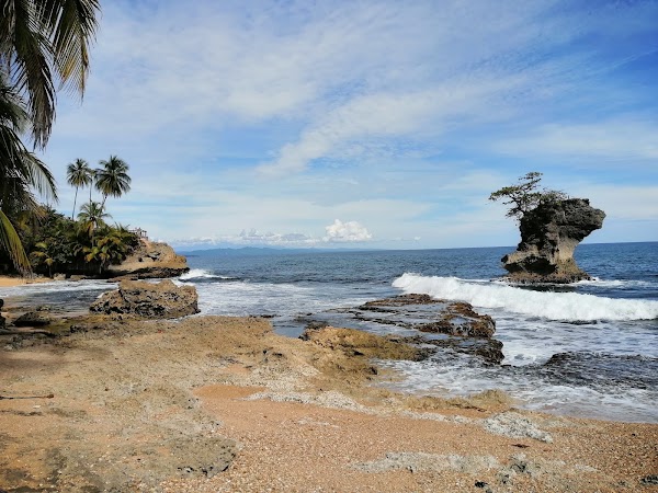 Refugio Nacional Gandoca-Manzanillo 4