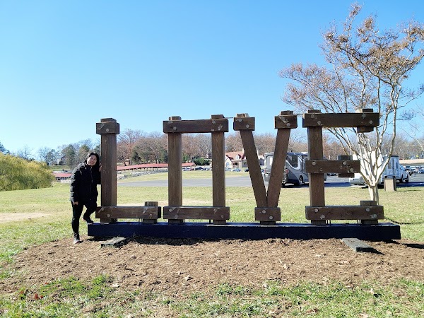 Virginia is for Lovers LOVEwork 1