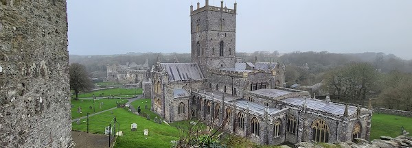 St Davids 2