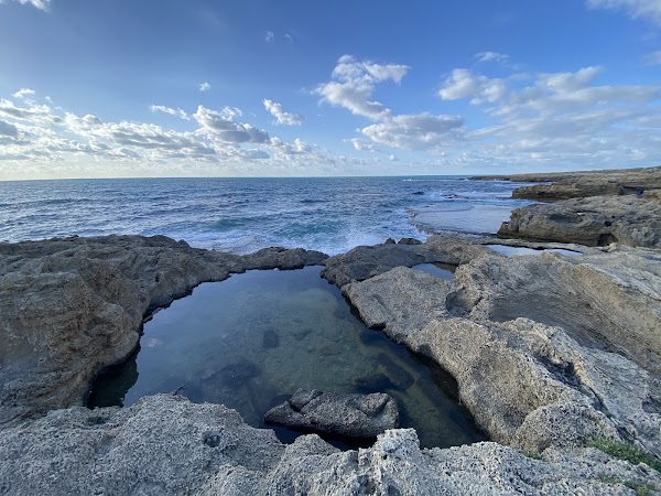 Israel 4