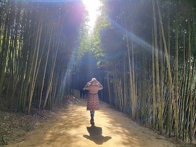 Juknokwon (Bamboo Forest) 2
