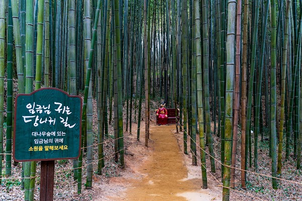 Juknokwon (Bamboo Forest) 6