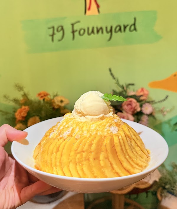 79 FOUNYARD 2