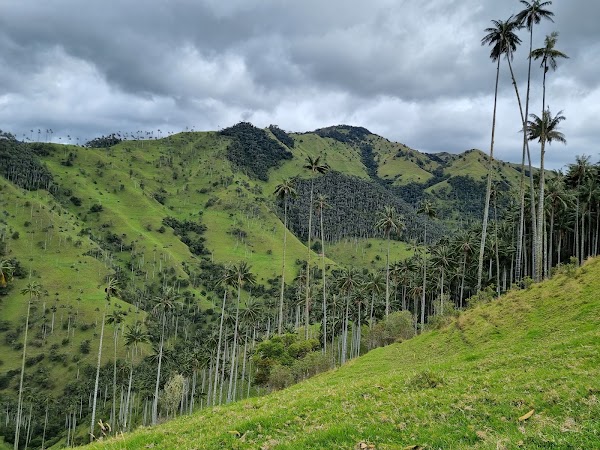 CARBONERA TOURS 1