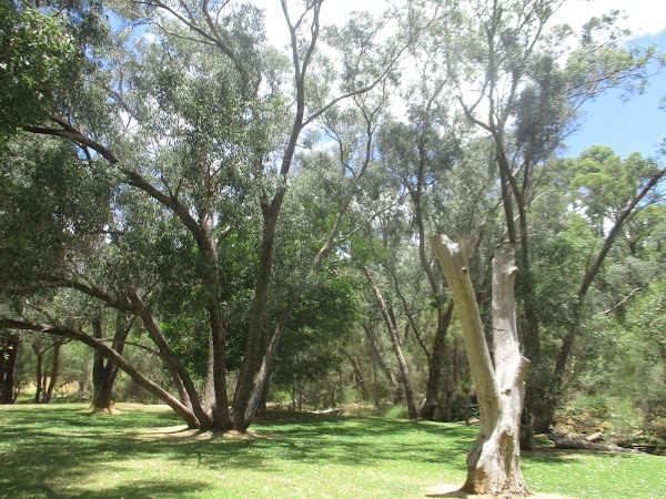 Railway Reserve Heritage Trail 1