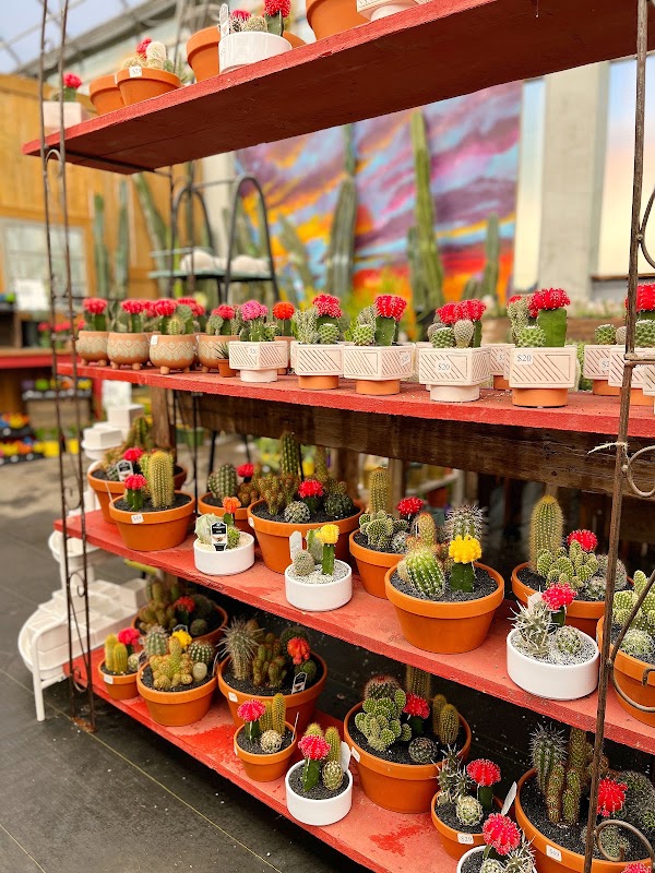 The Watering Can Flower Market 2