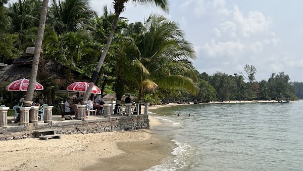 Coconut beach 1