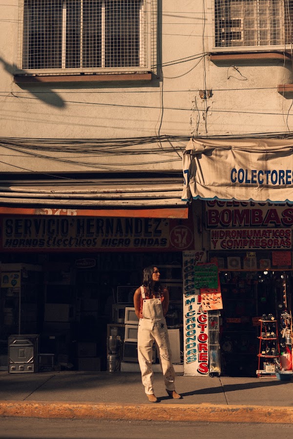CDMX 15