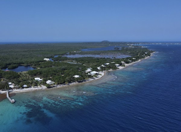 Utila 4