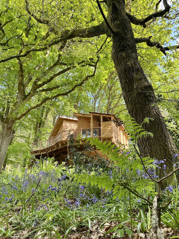 Tree House Retreats